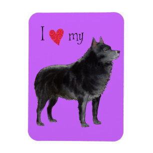 I Liebe Magnet