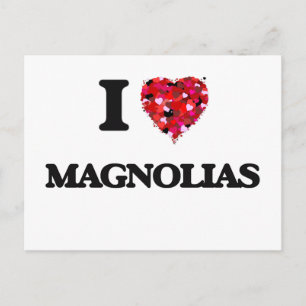 I Liebe Magnolias Postkarte