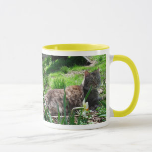 I LIEBE Maine Coons Tasse