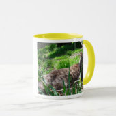 I LIEBE Maine Coons Tasse (VorderseiteRechts)