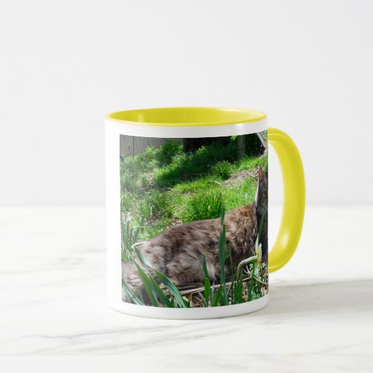 I LIEBE Maine Coons Tasse (VorderseiteRechts)