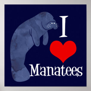I Liebe-Manatis Poster