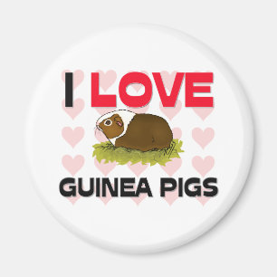 I Liebe-Meerschweinchen Magnet