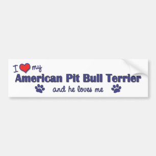 I Liebe mein amerikanischer Gruben-Stier-Terrier Autoaufkleber