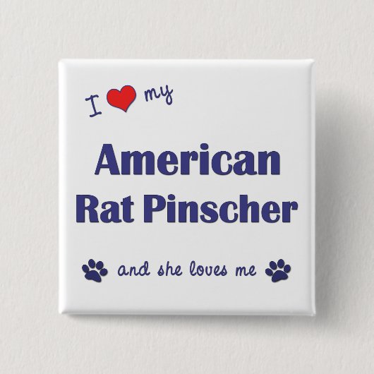 I Liebe mein amerikanischer RattePinscher Button (Vorderseite)