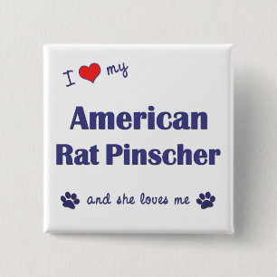 I Liebe mein amerikanischer RattePinscher Button