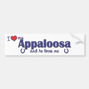 I Liebe mein Appaloosa (männliches Pferd) Autoaufkleber