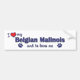 I Liebe mein belgischer Malinois (männlicher Hund) Autoaufkleber