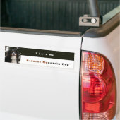 I Liebe mein Bernese Gebirgshund Autoaufkleber (Auf Lkw)