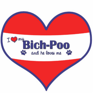 I Liebe mein Bich-Poo (männlicher Hund) Fotoskulptur Ornament