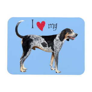 I Liebe mein Bluetick Coonhound Magnet