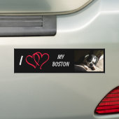 I Liebe mein Boston Autoaufkleber (Auf Auto)