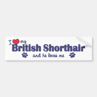 I Liebe mein britisches Shorthair (männliche Autoaufkleber
