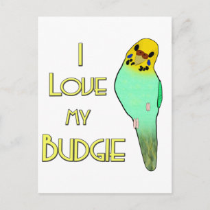 I Liebe mein Budgie Postkarte