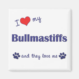 I Liebe mein Bullmastiffs (mehrfache Hunde) Magnet