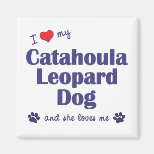 I Liebe mein Catahoula Leopard-Hund (weiblicher Magnet