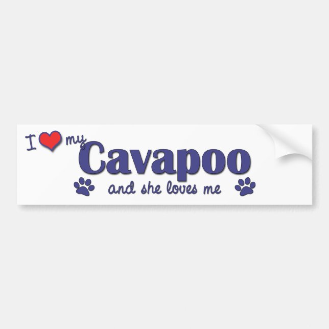 I Liebe mein Cavapoo (weiblicher Hund) Autoaufkleber (Vorne)