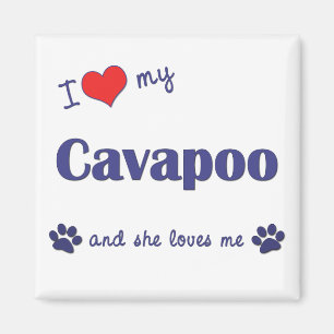 I Liebe mein Cavapoo (weiblicher Hund) Magnet