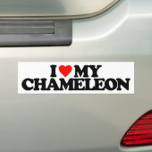 I LIEBE MEIN CHAMÄLEON AUTOAUFKLEBER (Auf Auto)