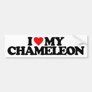 I LIEBE MEIN CHAMÄLEON AUTOAUFKLEBER