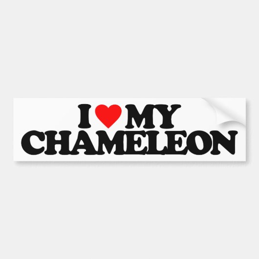 I LIEBE MEIN CHAMÄLEON AUTOAUFKLEBER (Vorne)