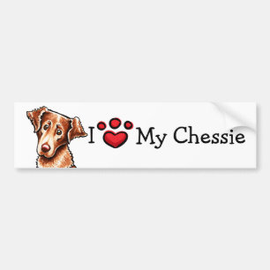 I Liebe mein Chessie Chesapeake-Bucht-Retriever Autoaufkleber