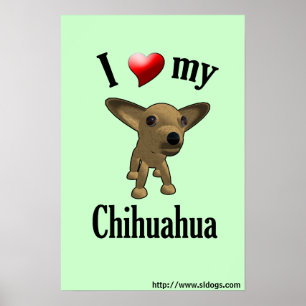I Liebe mein Chihuahua-Plakat Poster