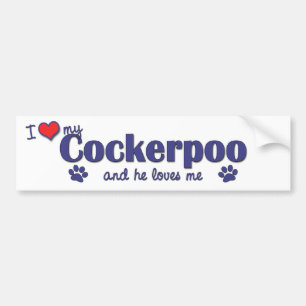 I Liebe mein Cockerpoo (männlicher Hund) Autoaufkleber