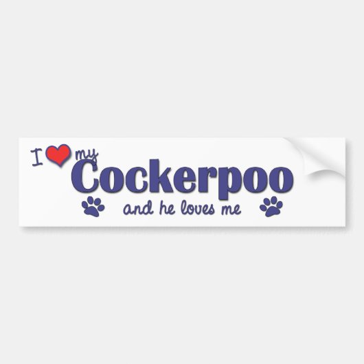 I Liebe mein Cockerpoo (männlicher Hund) Autoaufkleber (Vorne)