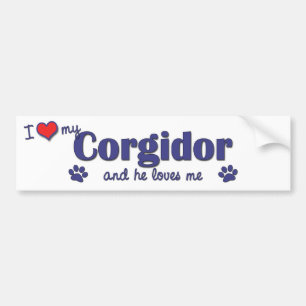 I Liebe mein Corgidor (männlicher Hund) Autoaufkleber