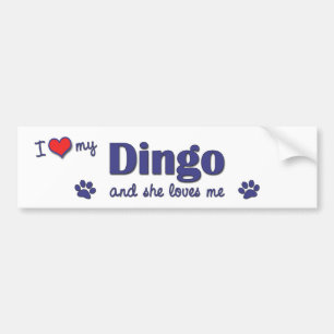 I Liebe mein Dingo (weiblicher Hund) Autoaufkleber