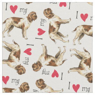 I Liebe mein Drahthaar, das Griffon zeigt Stoff