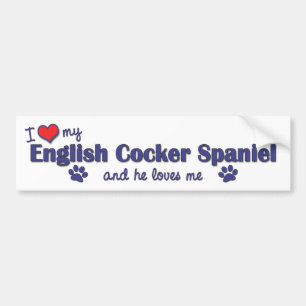 I Liebe mein englischer Cockerspaniel (männlicher Autoaufkleber