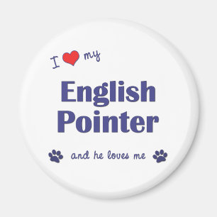 I Liebe mein englischer Zeiger (männlicher Hund) Magnet