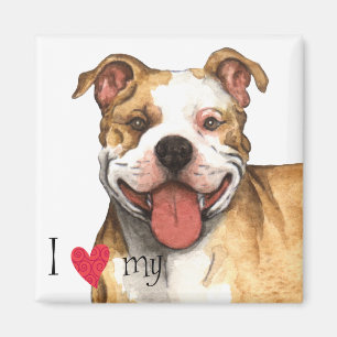 I Liebe mein Git Bull Terrier Magnet