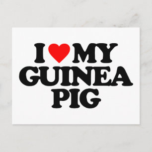 I LIEBE MEIN GUINEA SCHWEIN POSTKARTE