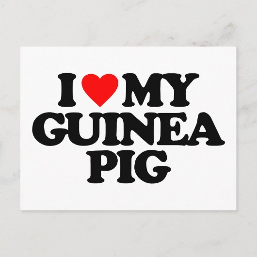 I LIEBE MEIN GUINEA SCHWEIN POSTKARTE (Vorderseite)