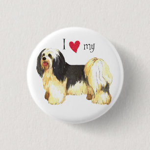 I Liebe mein Havanese Button