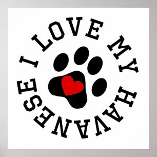 I Liebe mein Havanese Poster