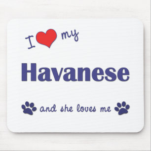 I Liebe mein Havanese (weiblicher Hund) Mousepad