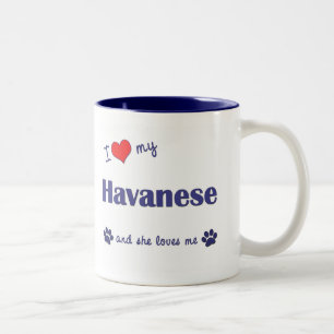I Liebe mein Havanese (weiblicher Hund) Zweifarbige Tasse
