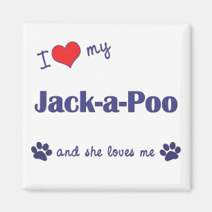 I Liebe mein Jack-ein-Poo (weiblicher Hund) Magnet
