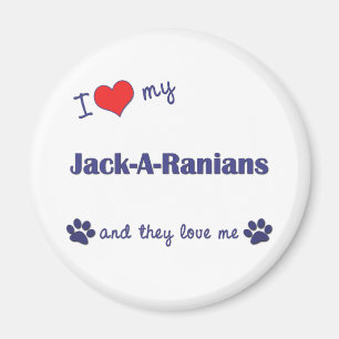 I Liebe mein Jack-EIn-Ranians (mehrfache Hunde) Magnet