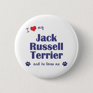 I Liebe mein Jack-Russell-Terrier (männlicher Button