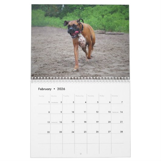 I LIEBE MEIN KALENDER DER BOXER-2018 (Feb 2026)