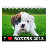 I LIEBE MEIN KALENDER DER BOXER-2018 (Titelbild)