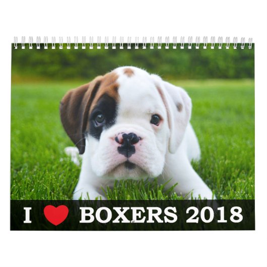 I LIEBE MEIN KALENDER DER BOXER-2018 (Titelbild)