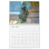 I LIEBE MEIN KALENDER DER BOXER-2018 (Mär 2027)