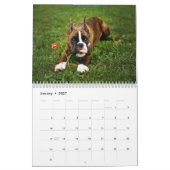 I LIEBE MEIN KALENDER DER BOXER-2018 (Jan 2027)
