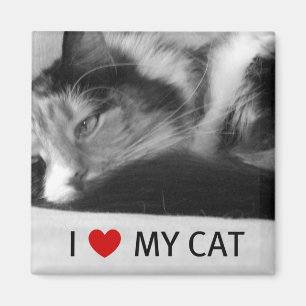 I Liebe mein Katzen-Magnet Magnet